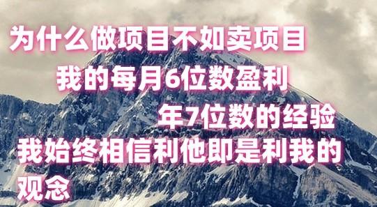 做项目不如卖项目，每月6位数盈利，年7位数经验-搞机圈