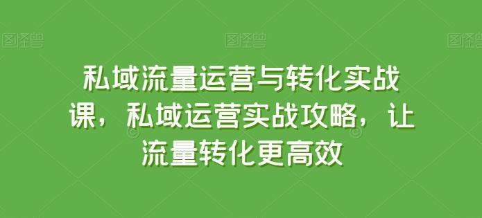 私域流量运营与转化实战课，私域运营实战攻略，让流量转化更高效-搞机圈
