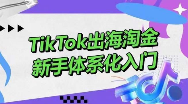 TikTok出海淘金，新手体系化入门，零基础快速入门，掌握短视频、直播带货等引流到变现的知识-搞机圈