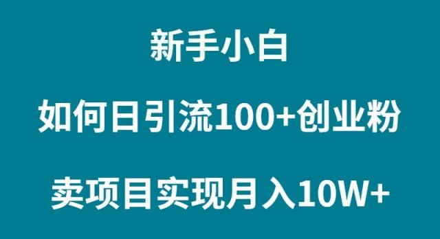 (9556期)新手小白如何通过卖项目实现月入10W+-搞机圈