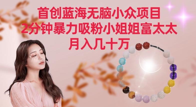 首创蓝海无脑小众项目，2分钟暴力吸粉小姐姐富太太，月入几十万【揭秘】-搞机圈