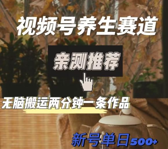视频号养生赛道暴力掘金，无脑搬运，两分钟一条作品-新日单入500+-搞机圈