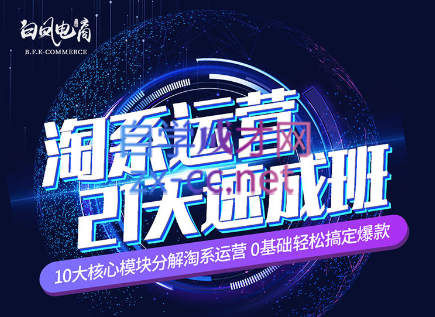 淘系运营21天速成班(更新24年6月)-搞机圈