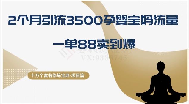 十万个富翁修炼宝典之13.2个月引流3500孕婴宝妈流量，一单88卖到爆-搞机圈