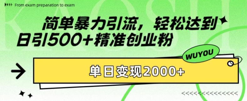 简单暴力引流，轻松达到日引500+精准创业粉，单日变现2k【揭秘】-搞机圈
